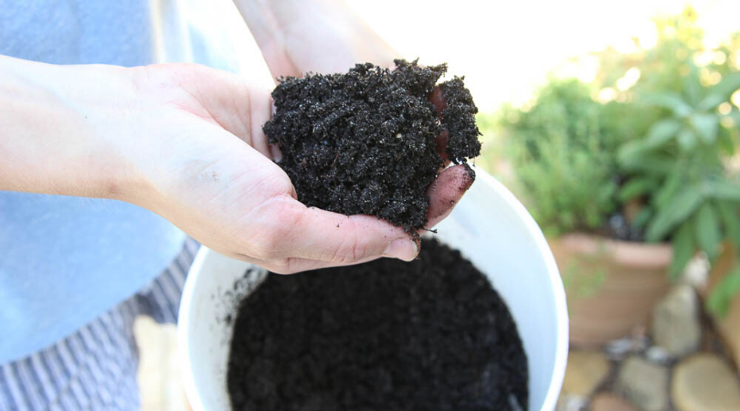 garden soil vs compost