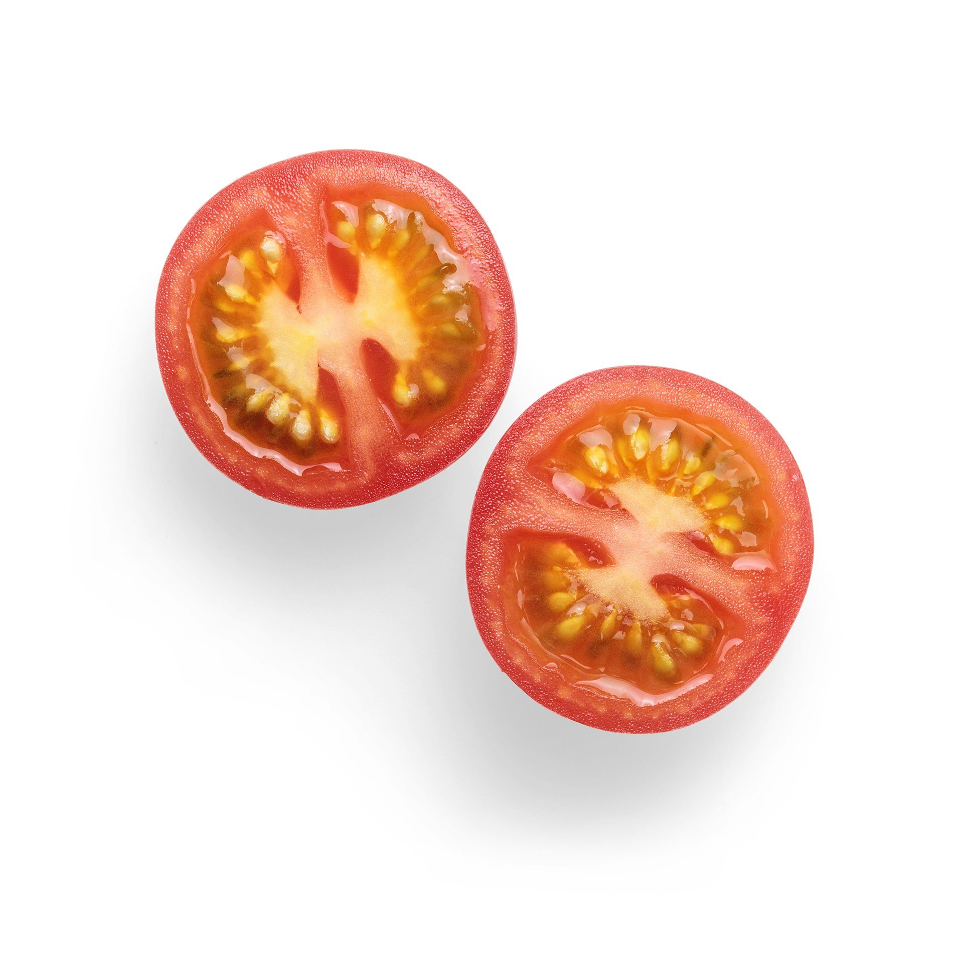 How Do You Grow Tomatoes From Seeds